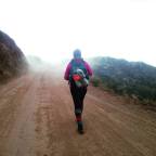 Going My Way? A Hitchhiker´s Guide to Survival.